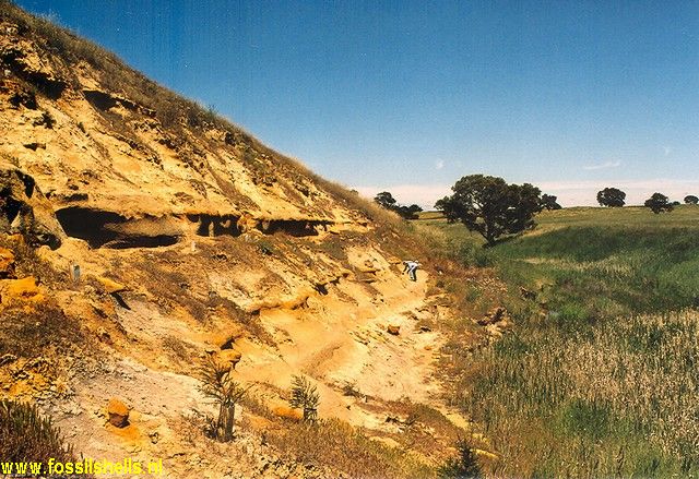 Victoria, Native Hut