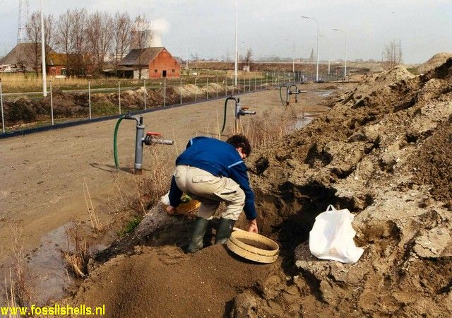 Deurganckdok