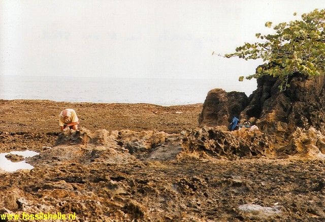 Puerto Limon
