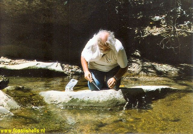 Rio Gurabo