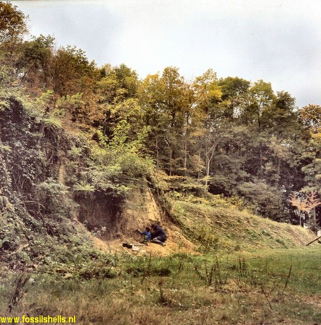 Boursault