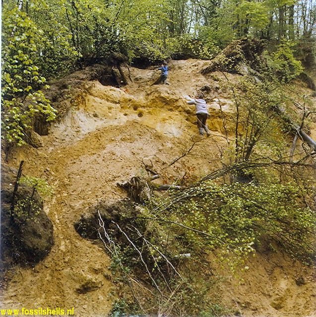 Cuise-la-Motte
