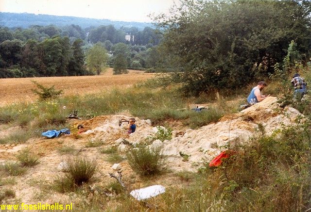 Mary-sur-Marne