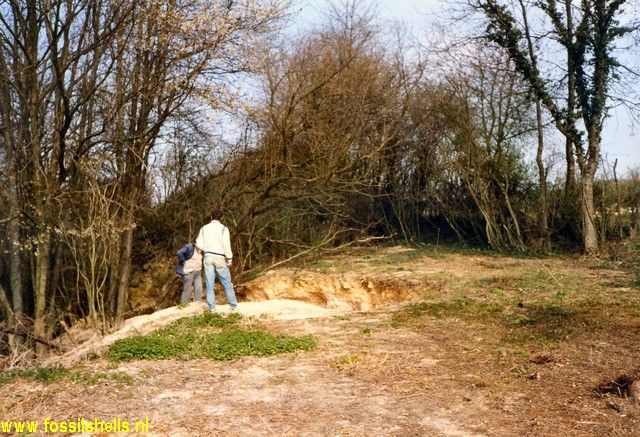 Montchauvet