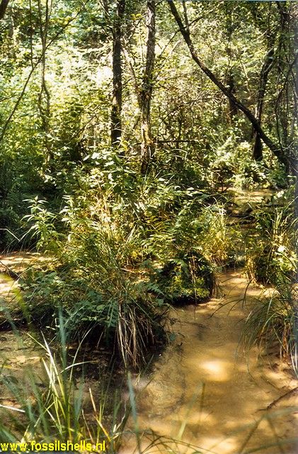 Saint-Avit  (Fontaine de Basta)