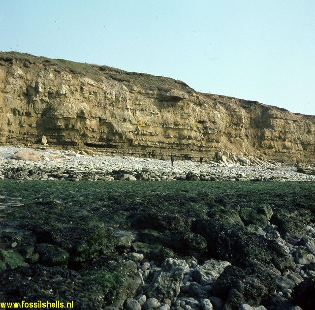 Wimereux