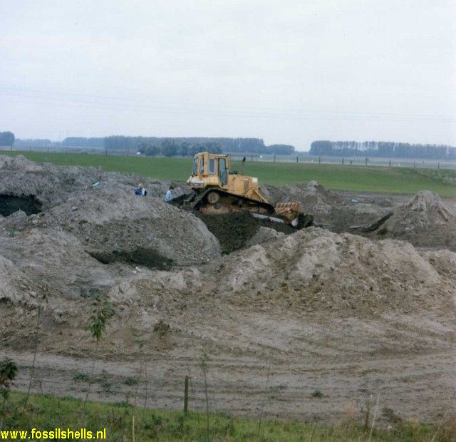 Rheinberg