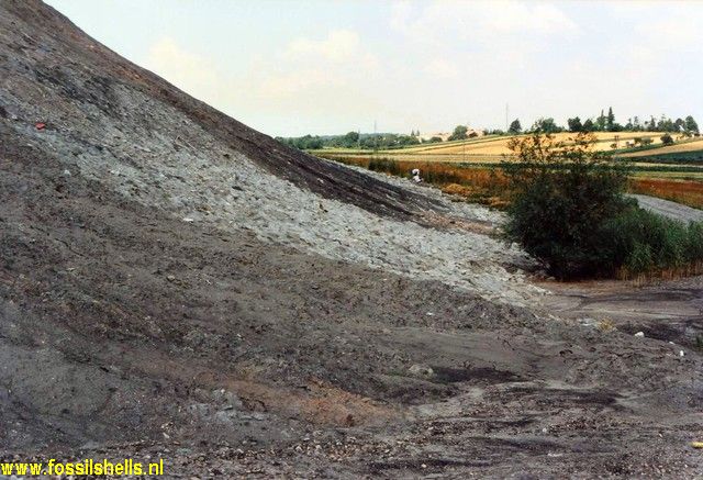 Dudar