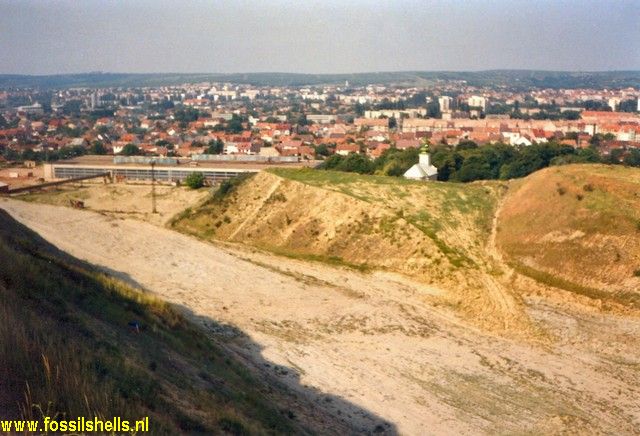 Eger