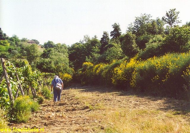 Ciuciano