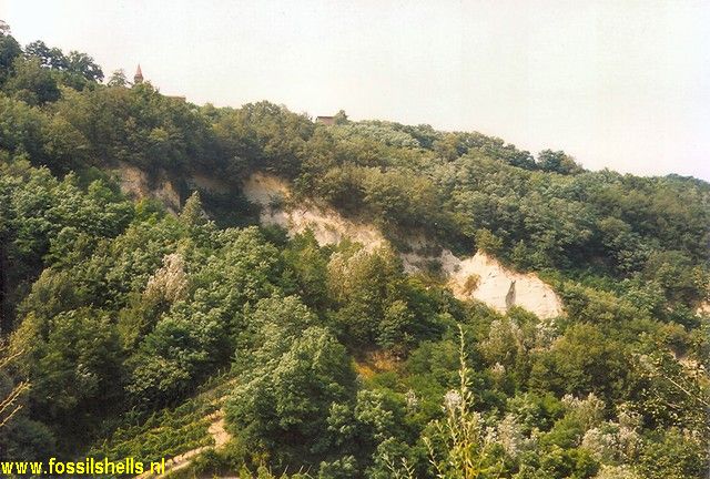 Diolo