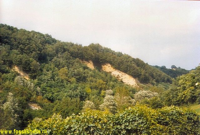 Diolo
