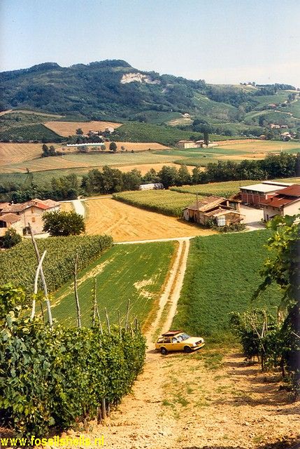 Diolo