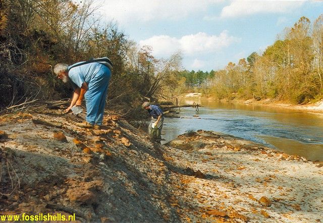 Hiwannee