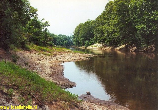 Hiwannee
