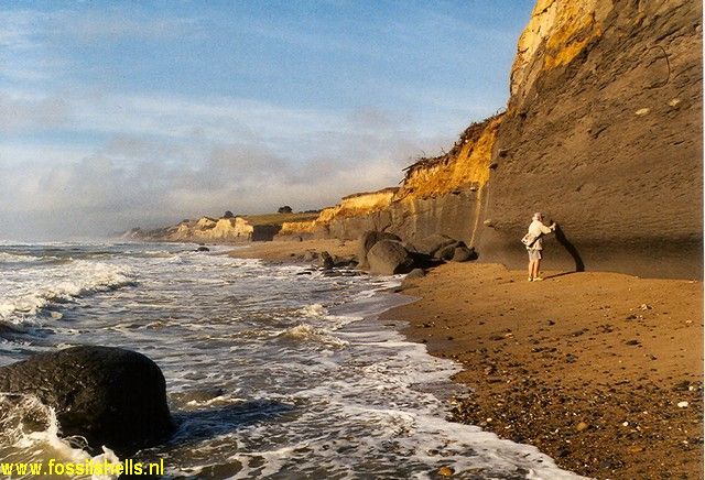 Hampden Beach