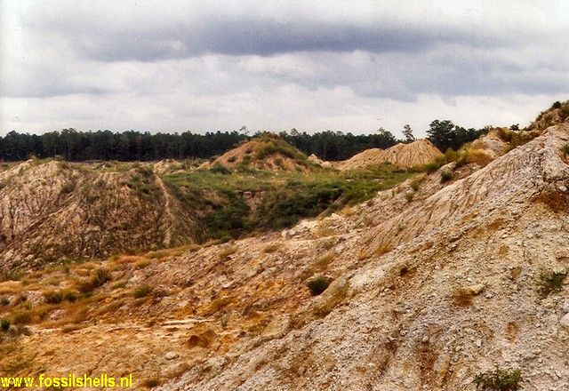Berkely Quarry